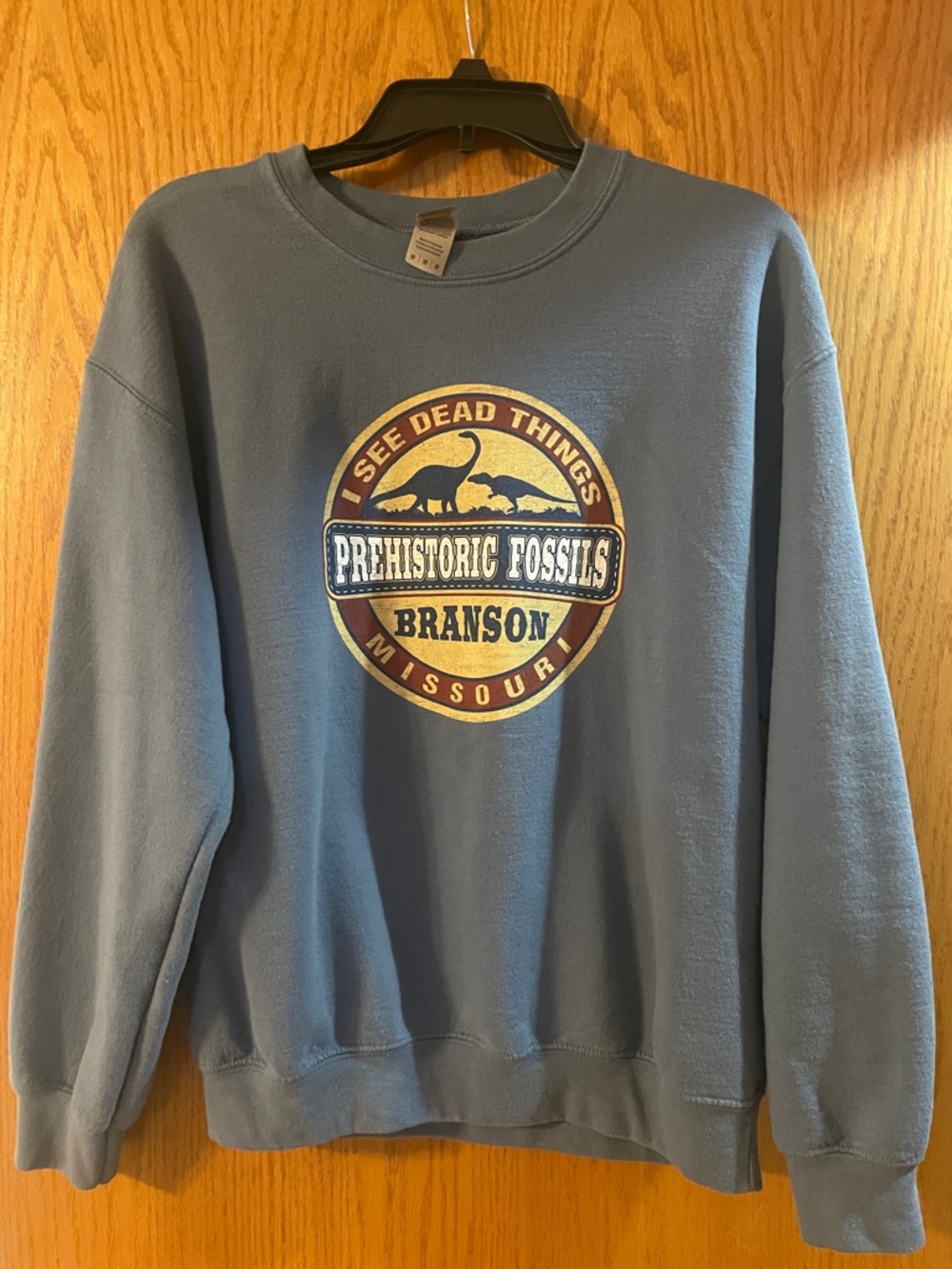 Gildan Light Blue Prehistoric Fossils Branson Graphic Crewneck